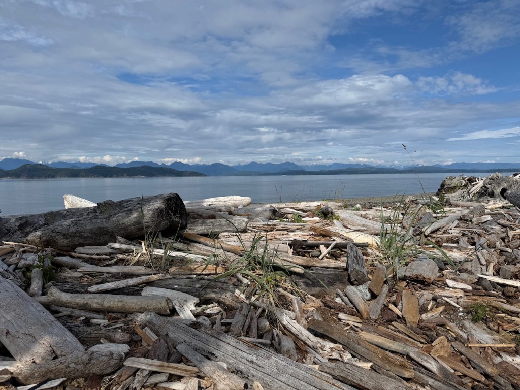 Rebbeca Spit Marine Park
