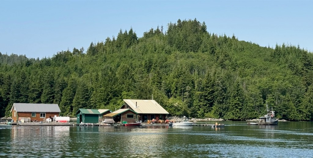 Floating fish-camp being towed out of Lagoon Cove.