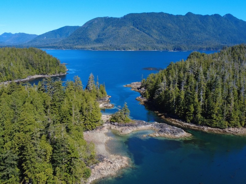 Tsunami Scare, The Brooks Peninsula, Sea Wolves, and&nbsp;Sunshine