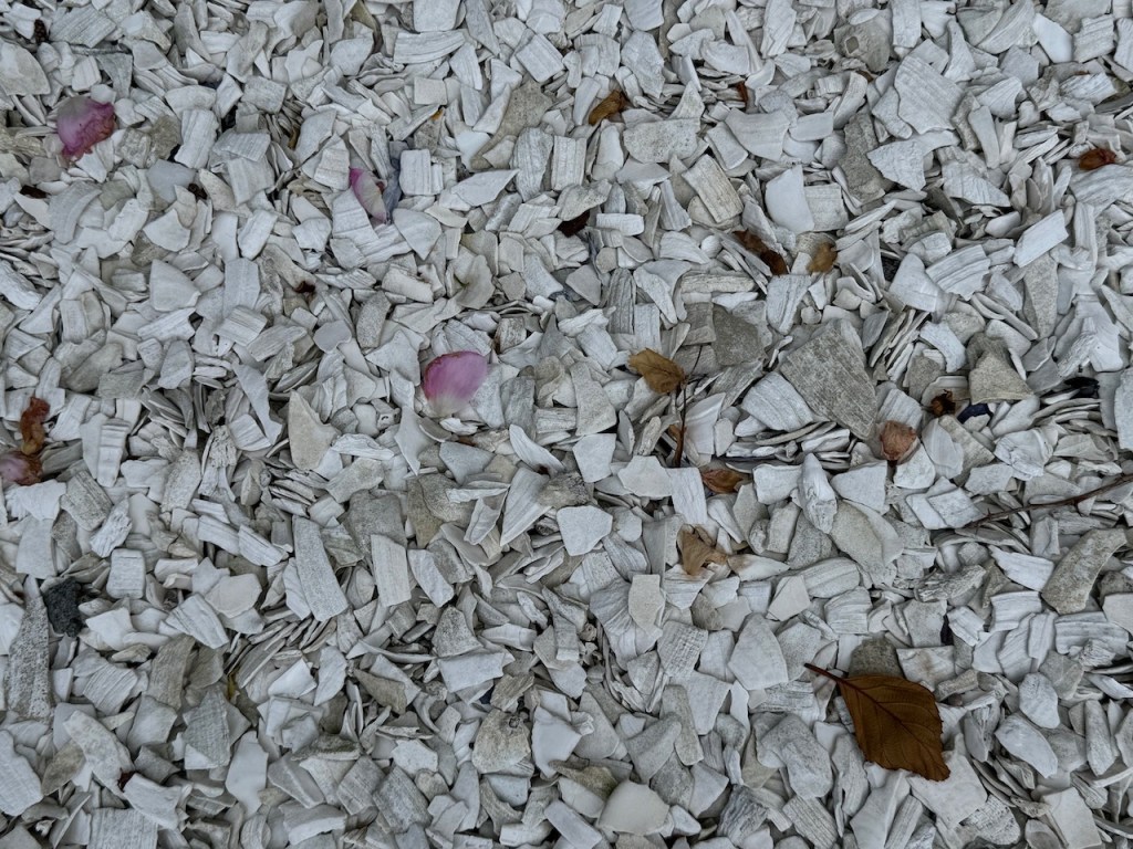 Closeup of a Midden beach.